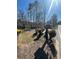 Scenic view of property mailbox with visible address and surrounding trees and shrubs at 7180 Westray Rd, Cumming, GA 30028