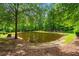 Scenic pond surrounded by lush greenery and trees at 7180 Westray Rd, Cumming, GA 30028