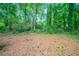 Natural backyard with mature trees and foliage create a private and serene setting at 2132 Sara Ashley Way, Lithonia, GA 30058