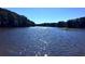 Scenic lake view with sunlight reflecting on the water, surrounded by lush green trees, perfect for boating and fishing at 130 Floss Flower Ct, Roswell, GA 30076