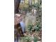 A natural stream running through the property adds value to the land at 2230 Cammie Wages Rd, Dacula, GA 30019
