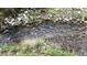 A small creek with rocks, plants, and trees lining the banks running through the backyard at 2230 Cammie Wages Rd, Dacula, GA 30019