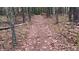 Scenic walking trail through the wooded property, great for nature lovers at 2230 Cammie Wages Rd, Dacula, GA 30019