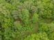 Lush aerial view of a dense, green forest at 3241 Briscoe Rd, Loganville, GA 30052
