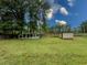 Expansive backyard featuring lush greenery, mature trees, chicken coop, and storage shed at 3241 Briscoe Rd, Loganville, GA 30052