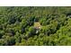 An aerial view showcases the house surrounded by dense forest at 143 Navajo Trl, Rydal, GA 30171