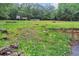 The beautiful backyard features a treehouse and a shed surrounded by lush greenery at 143 Navajo Trl, Rydal, GA 30171