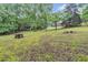 Sprawling backyard with picnic table, mature trees, and plenty of space for outdoor activities at 143 Navajo Trl, Rydal, GA 30171
