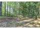 Expansive backyard with mature trees and wooden fence at 1635 Rushing River Way, Suwanee, GA 30024