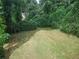 An overgrown backyard features lush green foliage and shaded areas at 1235 Westboro Sw Dr, Atlanta, GA 30310