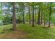 Lush green yard featuring mature trees and a peaceful, natural setting at 607 Hickory Creek Ln, Woodstock, GA 30188