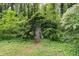 Rustic overgrown outbuilding blends seamlessly into a lush, natural landscape at 980 Oakton Sw Dr, Marietta, GA 30060