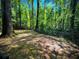 Fenced backyard with mature trees at 1655 Tryon Rd, Atlanta, GA 30319