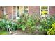 Close-up of front yard with lush rose bushes and white flowering plants at 1655 Tryon Rd, Atlanta, GA 30319