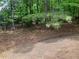Beautiful wooded backyard with mature trees offering privacy at 870 Thornberry Dr, Alpharetta, GA 30022