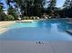Community pool with shallow area, with clear water and well-maintained surroundings at 215 Britten Pass, Alpharetta, GA 30009