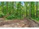 Scenic view of a wooded lot with mature trees, foliage, and a cleared path at 6265 Reives Rd, Cumming, GA 30041