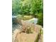 Backyard featuring a privacy fence, an in-ground pool and a well-maintained lawn at 3748 Woodrose Ct, Snellville, GA 30039
