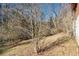 View of the wooded backyard showcasing the sloping landscape at 2807 Knollview Dr, Decatur, GA 30034