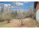 View of the wooded backyard showcasing the landscaping at 2807 Knollview Dr, Decatur, GA 30034