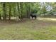 Backyard with a horse at 601 Ashley Forest Nw Dr, Acworth, GA 30102