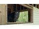 Close up of a horse in the barn at 601 Ashley Forest Nw Dr, Acworth, GA 30102