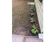 Backyard gardening area with hostas and other planted flowers along the side of the house at 269 Privet Cir, Suwanee, GA 30024