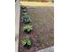 Landscaped backyard featuring a variety of plantings at 269 Privet Cir, Suwanee, GA 30024