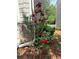 Lush red roses climbing near a downspout add charm to the exterior of this home at 269 Privet Cir, Suwanee, GA 30024