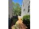 Narrow side yard showcasing pine straw ground cover between two homes with air conditioning units at 269 Privet Cir, Suwanee, GA 30024
