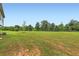 Spacious backyard with lush green grass and mature trees at 229 Prescott St, Locust Grove, GA 30248