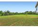 Spacious backyard with lush green grass and a line of trees in the distance at 229 Prescott St, Locust Grove, GA 30248