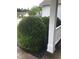 Front yard featuring decorative shrubs and black rock landscaping along the porch at 431 Crested View Dr, Loganville, GA 30052