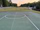 Exterior image of a basketball court on a grassy lawn with mature trees in the background at 504 Radford Ct, Woodstock, GA 30188