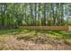 Large, grassy backyard surrounded by tall trees, perfect for outdoor activities at 1660 Rose Garden Ln, Loganville, GA 30052