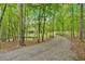 Scenic view of a gravel driveway winding through a lush, green forest leading up to the home at 4332 Brushy Mountain Rd, Rockmart, GA 30153