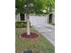 Landscaped front yard with a tree surrounded by mulch and a concrete driveway at 7848 Rock Rose Ln, Fairburn, GA 30213
