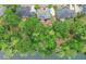 Aerial view of a house with mature trees, green lawns, and a placid lake at 9175 Etching Overlook, Johns Creek, GA 30097