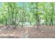 Serene backyard with stone pathway leading to river frontage surrounded by mature trees at 9175 Etching Overlook, Johns Creek, GA 30097