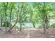 Scenic river view with lush green trees, showcasing the serene natural surroundings and recreational opportunities at 9175 Etching Overlook, Johns Creek, GA 30097