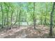 Trees offer a serene view of a calm river, creating a peaceful and secluded outdoor space at 9175 Etching Overlook, Johns Creek, GA 30097