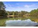 Scenic view of the tranquil pond surrounded by lush trees at 2013 Ridge Rd, Dallas, GA 30157
