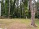 Backyard with tall trees offering lots of shade at 2058 North Nw Ave, Atlanta, GA 30318