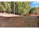 Large grassy backyard with mature trees providing shade and privacy at 4840 Shiloh Springs Rd, Cumming, GA 30040