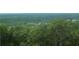 View of trees with neighborhood peeking out behind them at 235 Laurel Vista Dr, Canton, GA 30114