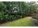 Well-maintained backyard with lush lawn and neatly trimmed shrubbery bordering the property at 185 Windsor Cv, Sandy Springs, GA 30328