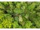Lush green trees from an aerial view displaying a dense forest and winding stream at 569 Hale Mountain Ct, Hiram, GA 30141