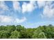 Lush green treetop view against a cloudy sky at 115 Blue Ridge Trl, Powder Springs, GA 30127