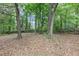 Large backyard featuring mature trees and natural landscaping at 115 Blue Ridge Trl, Powder Springs, GA 30127
