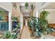 Stylish entryway adorned with plants, creating a natural and refreshing ambiance with wood flooring at 115 Blue Ridge Trl, Powder Springs, GA 30127